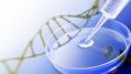 /album/fotogaleria/a201104191219biotecnologia-jpg/