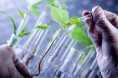 /album/fotogaleria/everis-biotecnologia-jpg/
