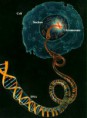 /album/fotogaleria/biotecnologia11-jpg/
