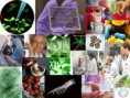 /album/fotogaleria/biotecnologia-jpg/