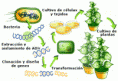 /album/fotogaleria/imagenes-de-la-biotecnologia-gif/